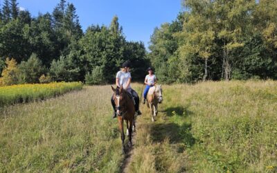 Vakantiegevoel vasthouden. Creëer het!